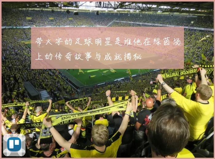 带火字的足球明星是谁他在绿茵场上的传奇故事与成就揭秘