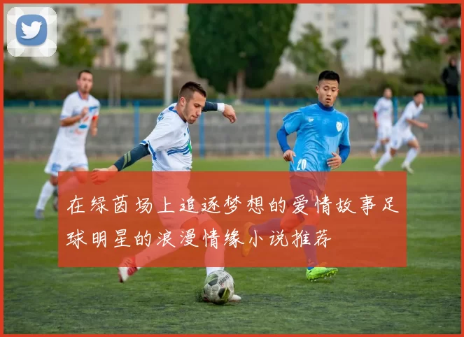 在绿茵场上追逐梦想的爱情故事足球明星的浪漫情缘小说推荐