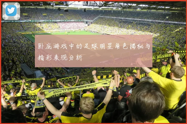 卧底游戏中的足球明星角色揭秘与精彩表现分析