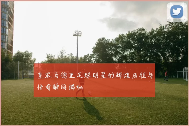 皇家马德里足球明星的辉煌历程与传奇瞬间揭秘