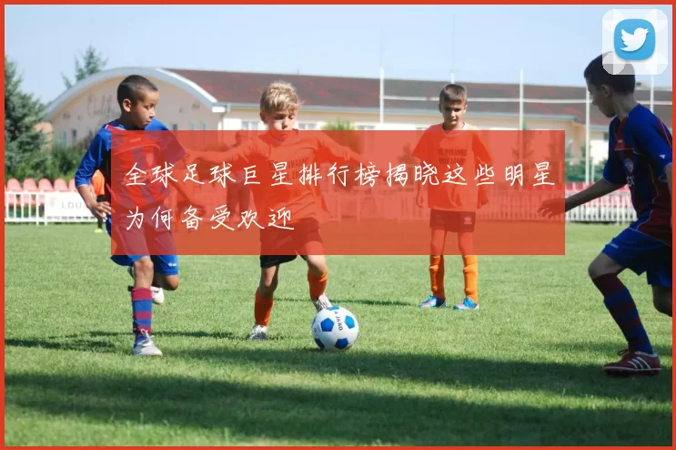 全球足球巨星排行榜揭晓这些明星为何备受欢迎