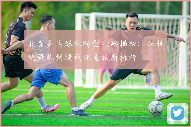 北京乒乓球队转型之路揭秘：从传统强队到现代化竞技新标杆