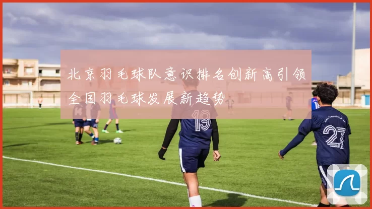 北京羽毛球队意识排名创新高引领全国羽毛球发展新趋势