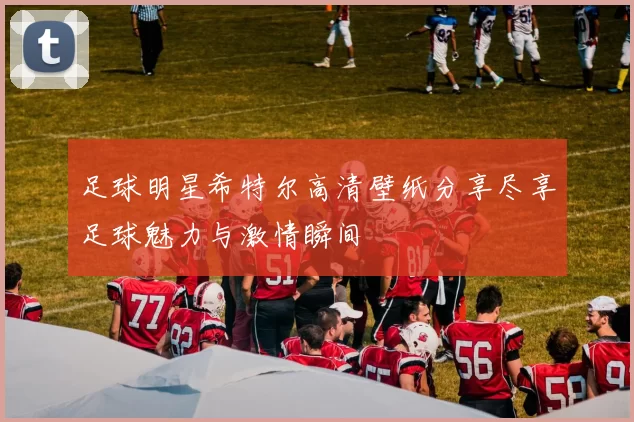 足球明星希特尔高清壁纸分享尽享足球魅力与激情瞬间