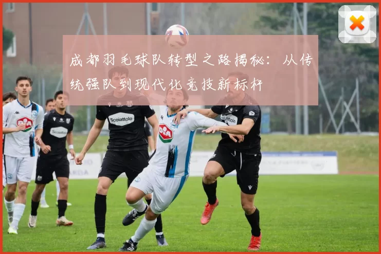 成都羽毛球队转型之路揭秘：从传统强队到现代化竞技新标杆