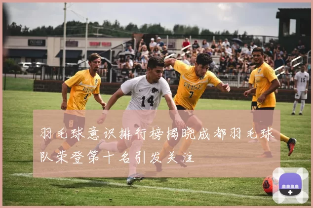 羽毛球意识排行榜揭晓成都羽毛球队荣登第十名引发关注