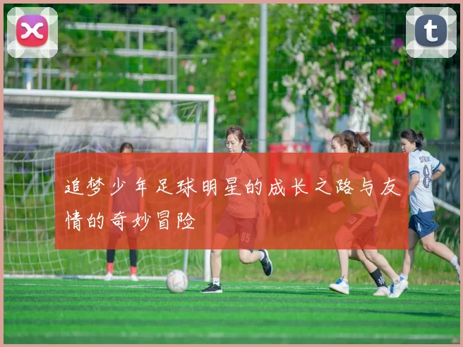 追梦少年足球明星的成长之路与友情的奇妙冒险