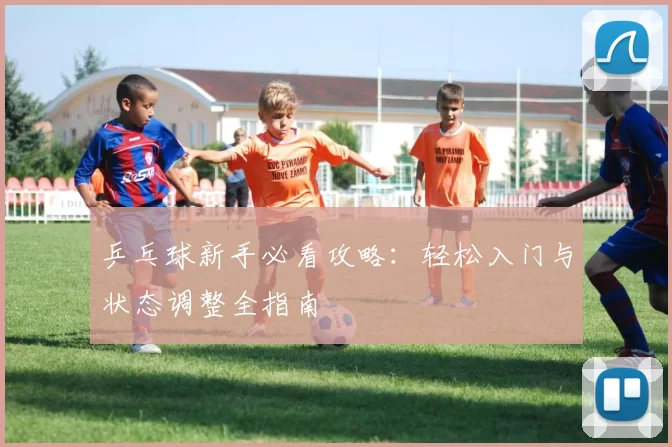 乒乓球新手必看攻略：轻松入门与状态调整全指南