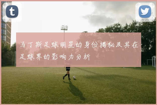 马丁斯足球明星的身份揭秘及其在足球界的影响力分析
