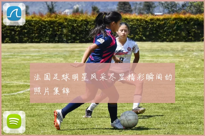 法国足球明星风采尽显精彩瞬间的照片集锦