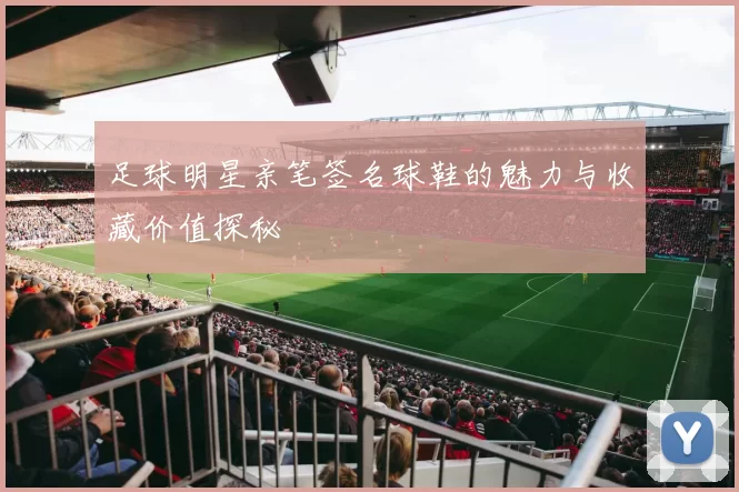 足球明星亲笔签名球鞋的魅力与收藏价值探秘