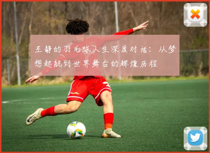 王静的羽毛球人生深度对话：从梦想起航到世界舞台的辉煌历程