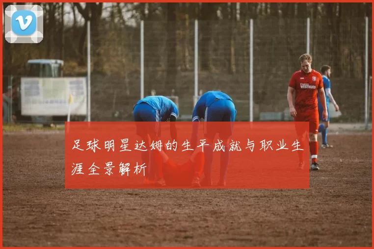 足球明星达姆的生平成就与职业生涯全景解析