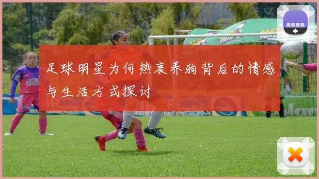 足球明星为何热衷养狗背后的情感与生活方式探讨